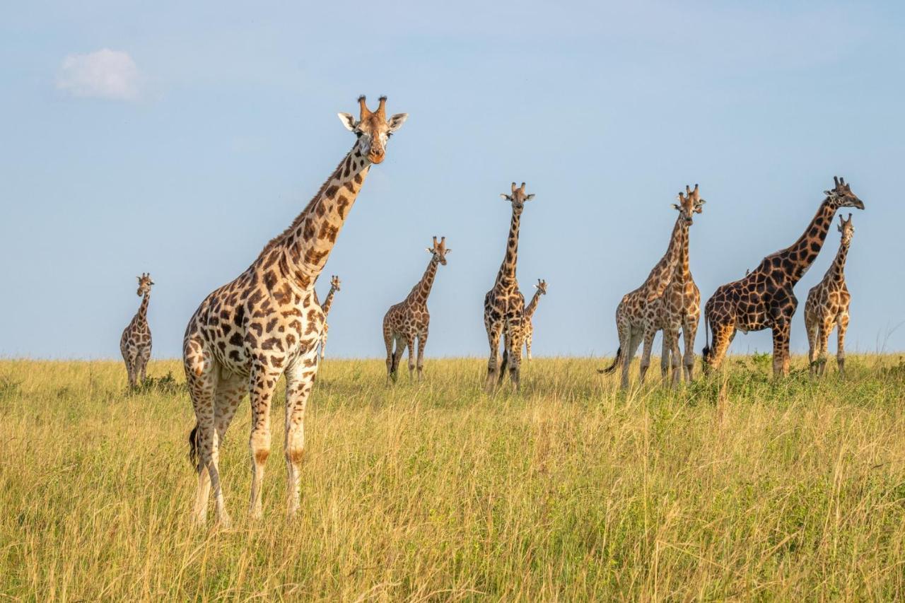 Zebula Boutique Hotel Mabula Game Reserve Zewnętrze zdjęcie